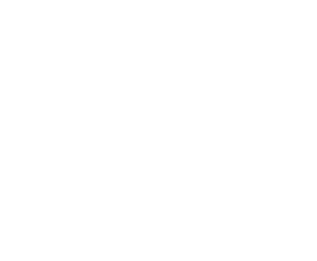Gemini Caravans
